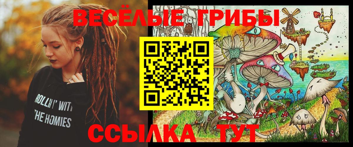 Галлюциногенные грибы прущие грибы  Псилоцибиновые грибы ЛСД  Вход с VPN  Котельники 
